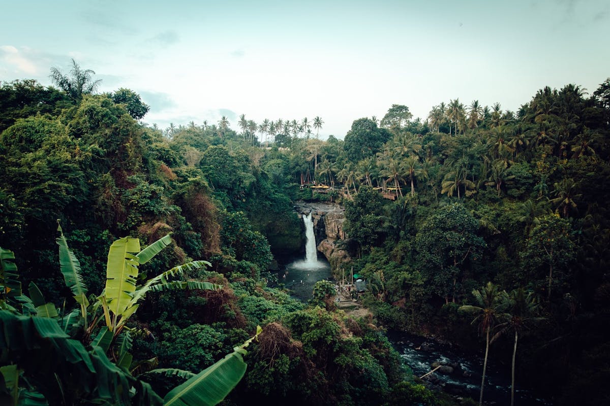 Chute d'eau dans la forêt au Costa Rica 