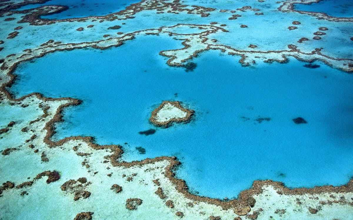 Australia's Great Barrier Reef, seen from the sky