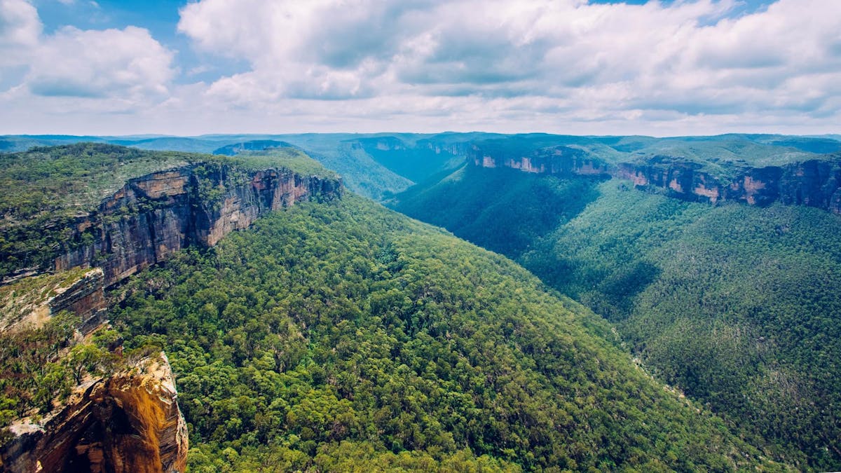View of the Blue Mountains, with the valley giving blue reflections to the vegetation.
