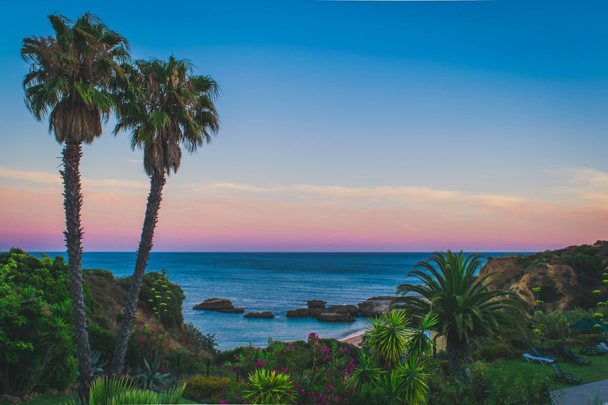 Vue sur l'ocean, la plage et des palmiers