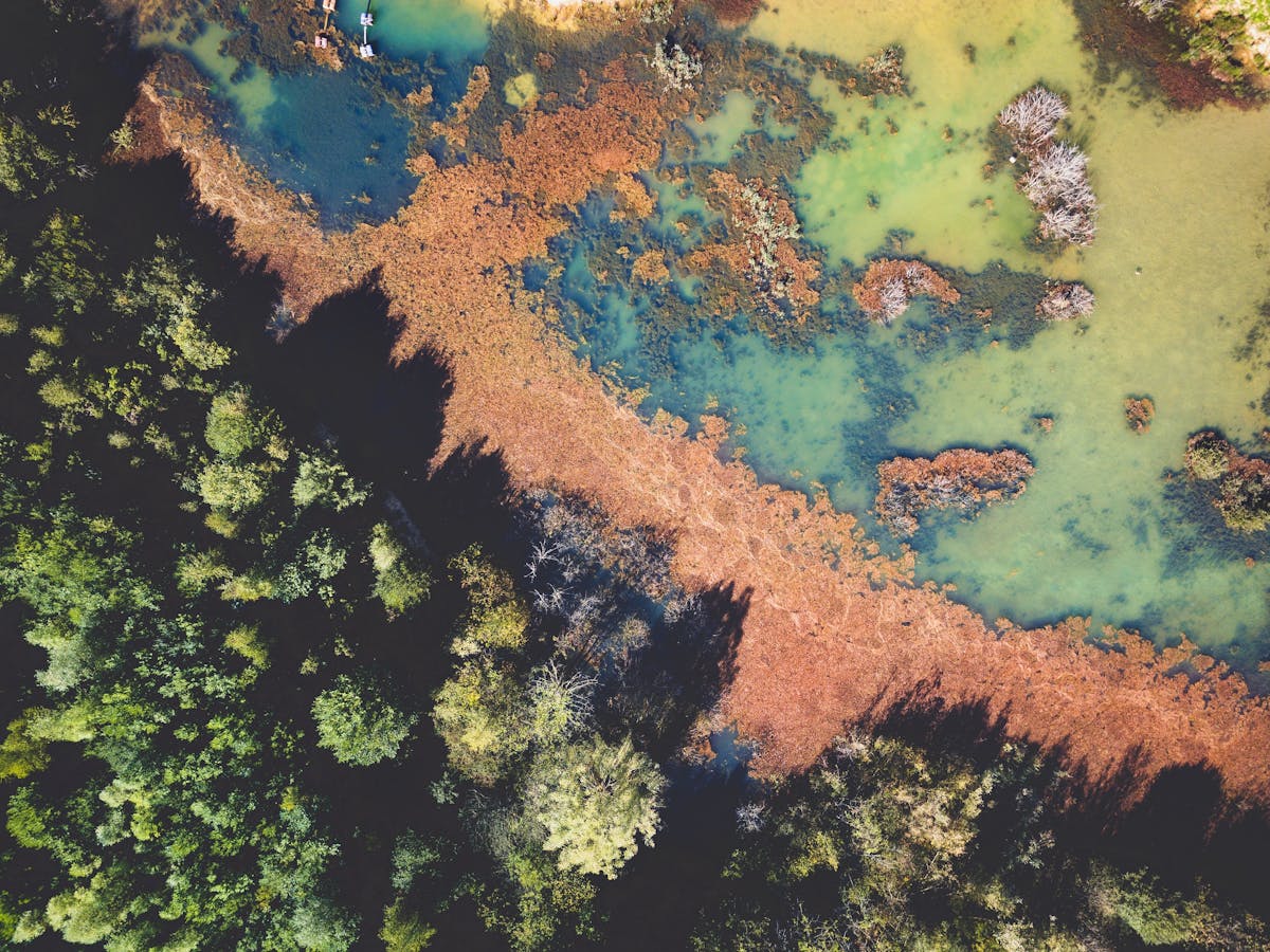 Plage et mer polluée