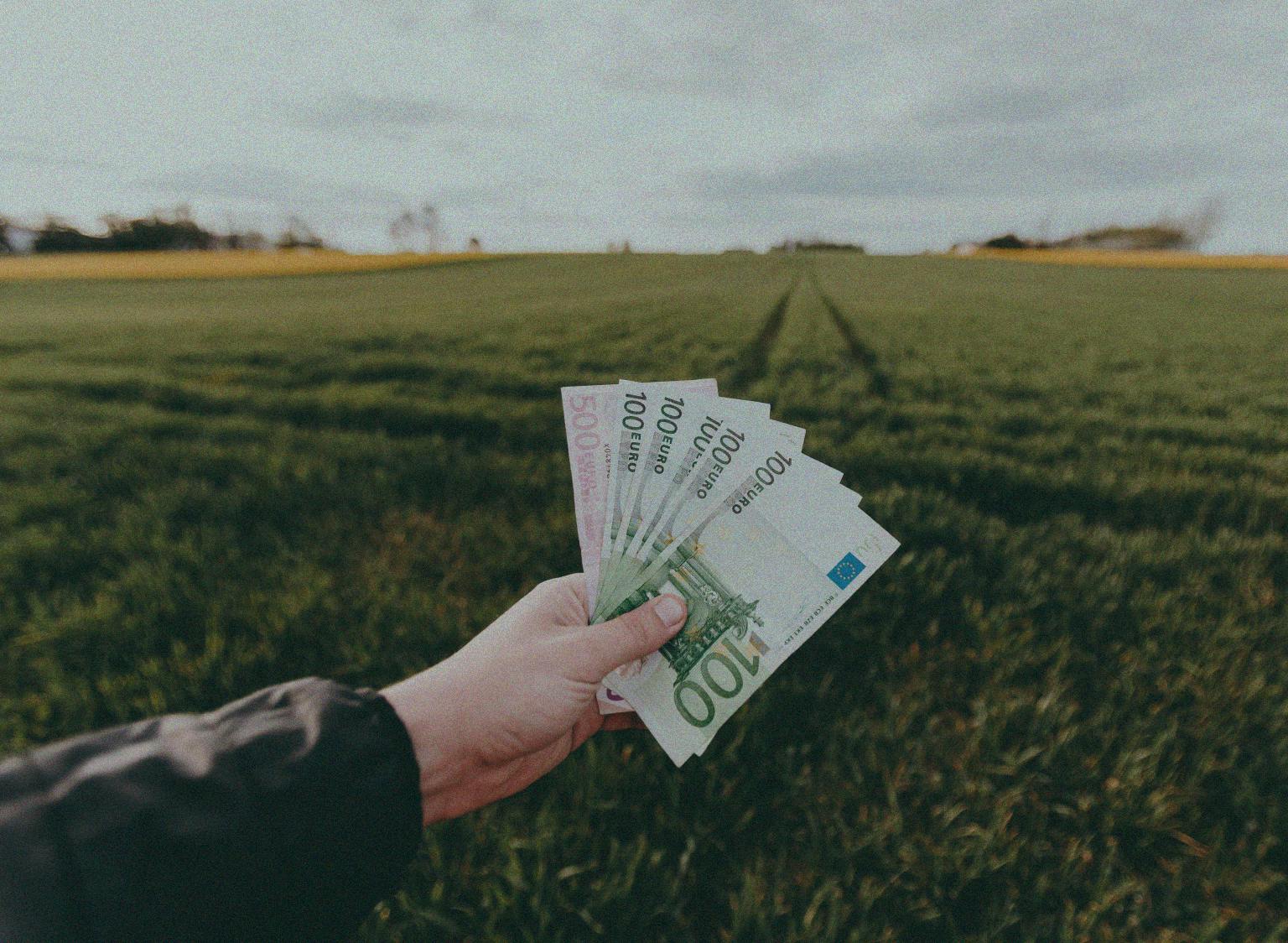 Investissement padel 