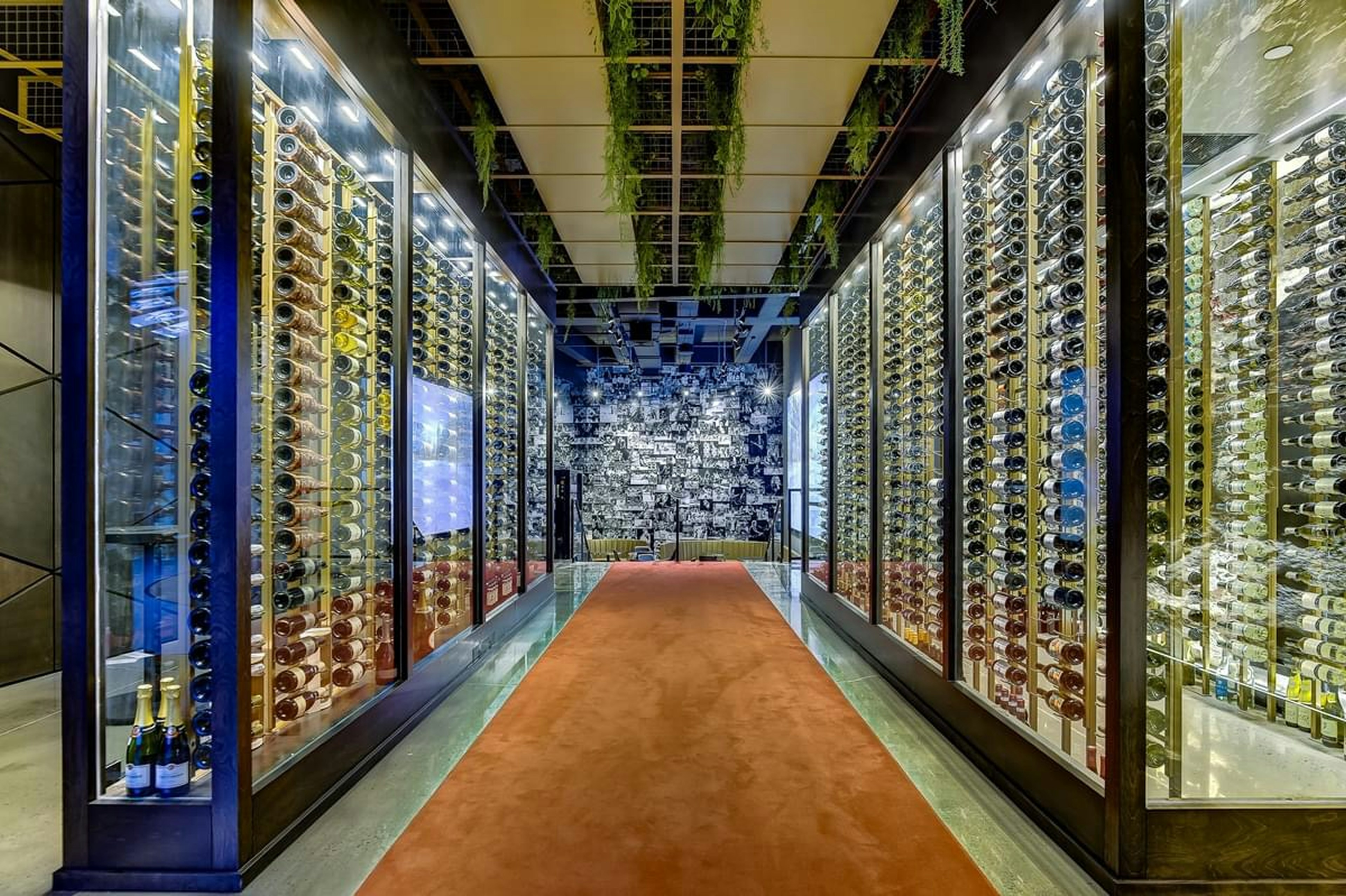 Modern cellar