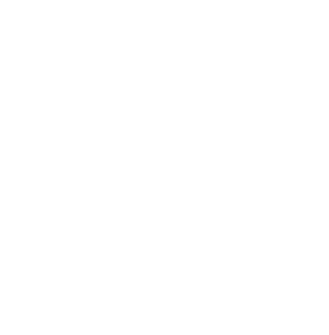 Z2C Logo