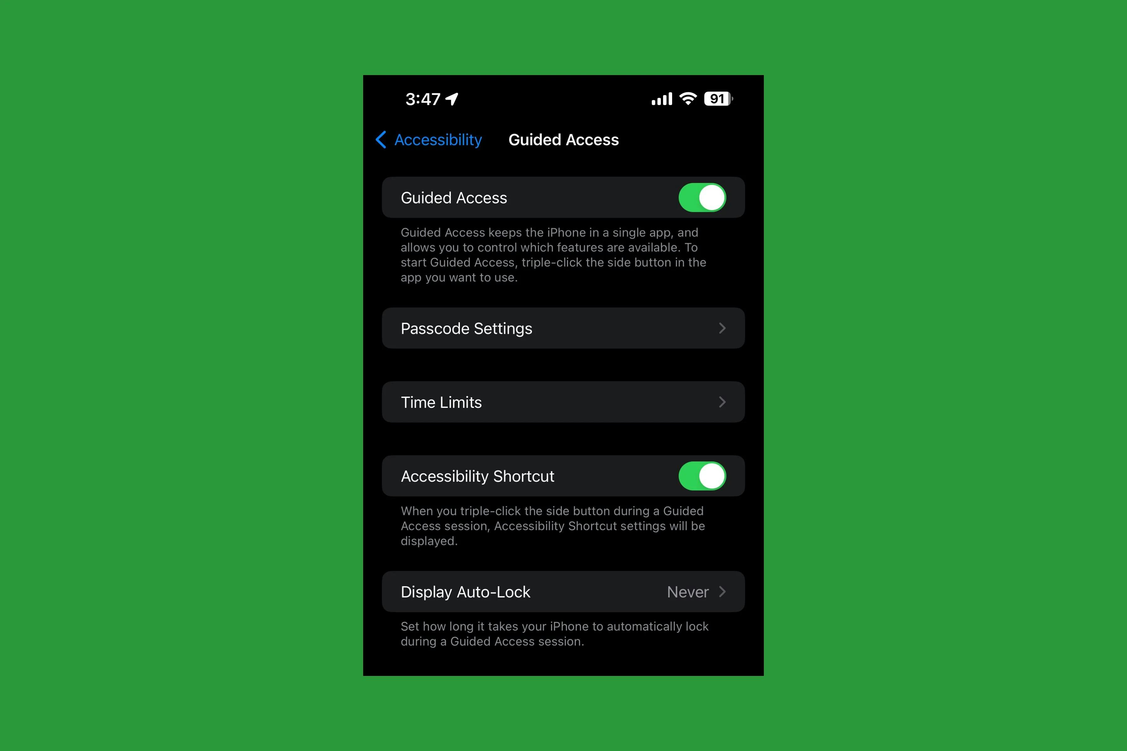 Screenshot of iphone guided access settings