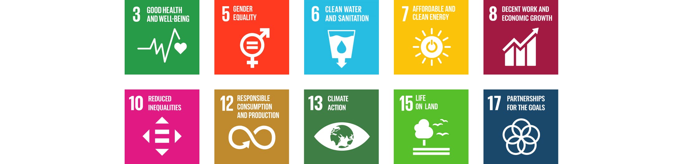 United Nations Sustainable Development Goals
