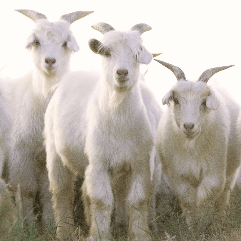 Engagés avec nos partenaires