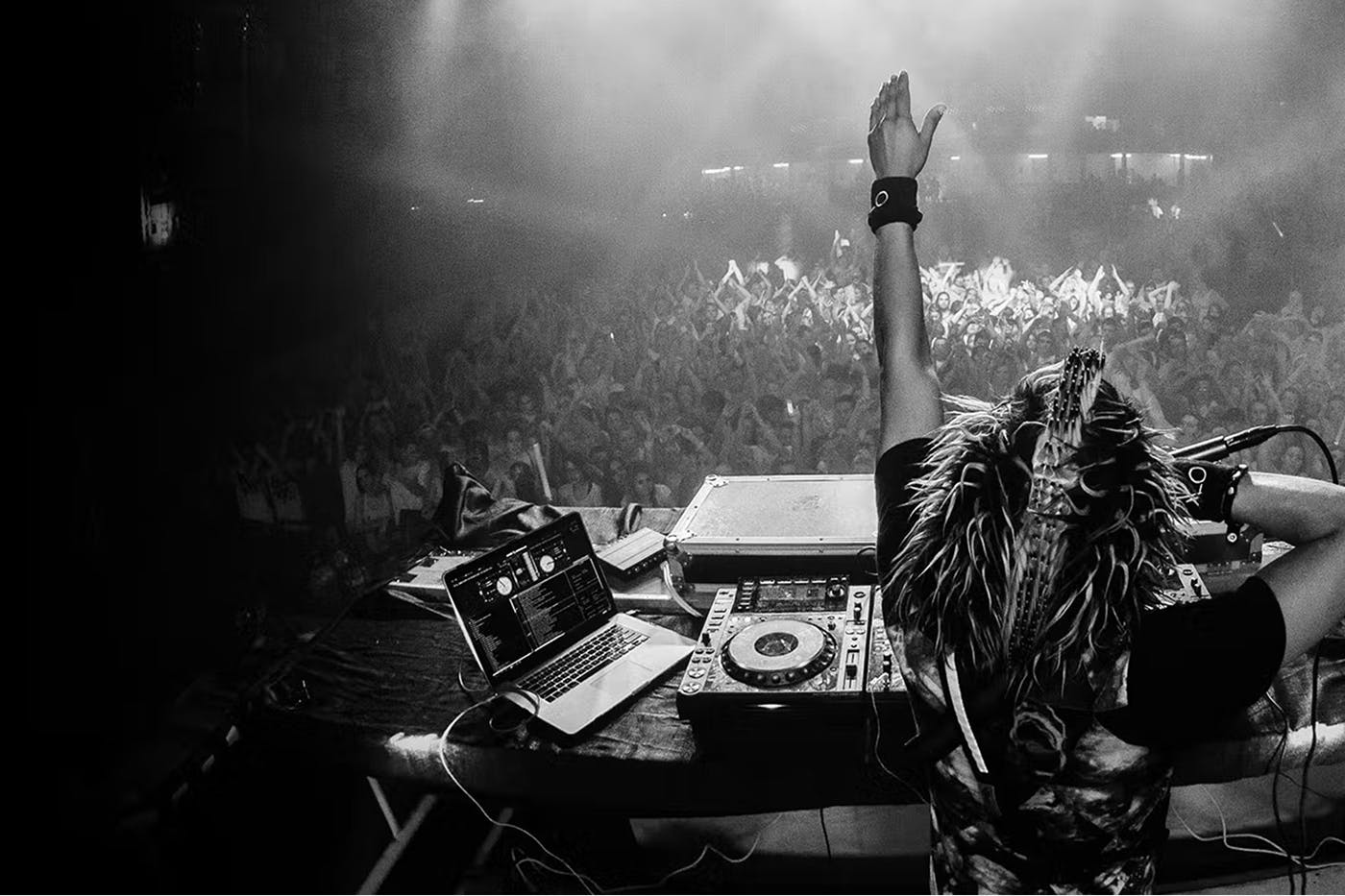 A DJ hypes up a crowd at a concert