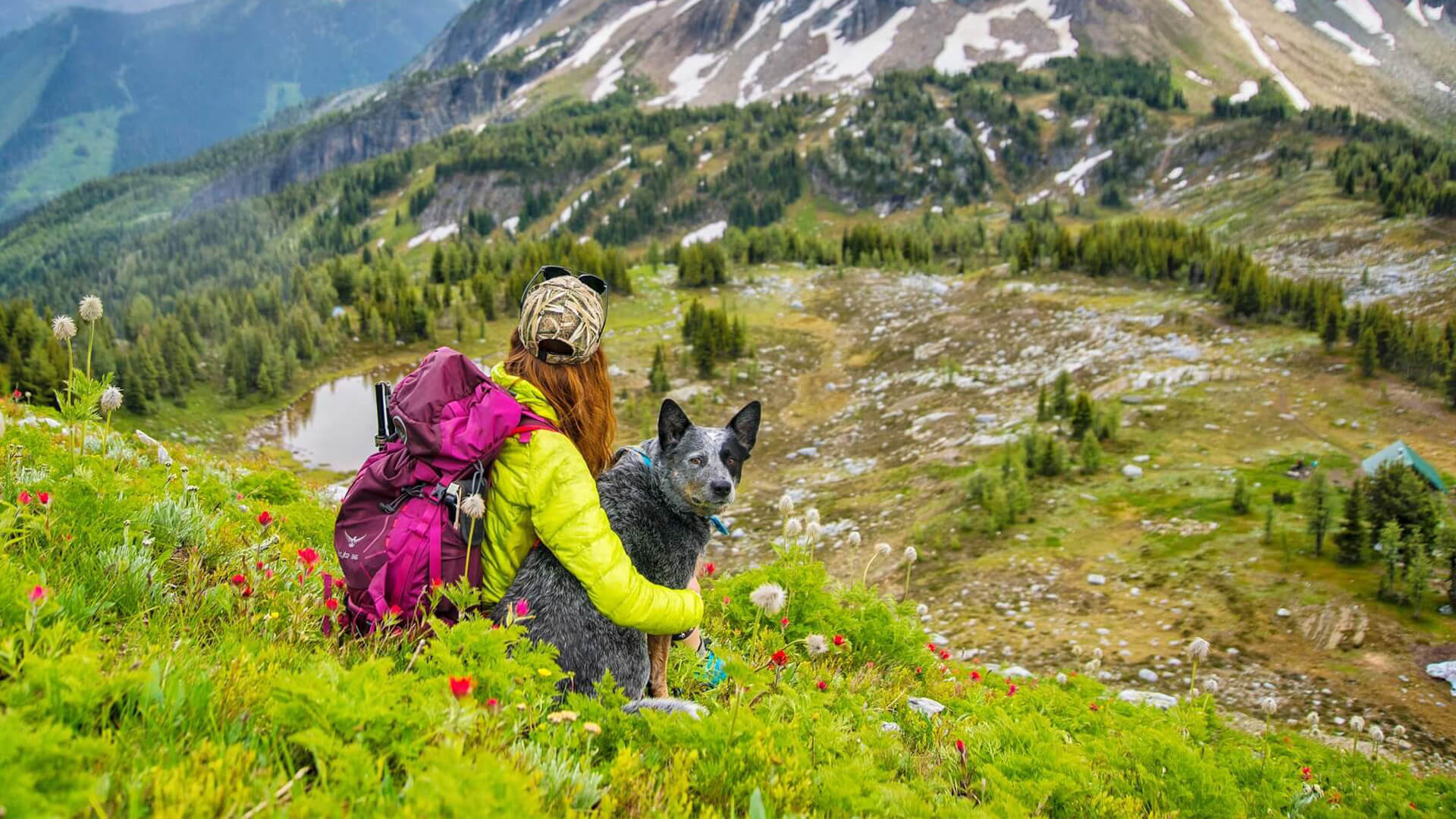 Osprey shop dog backpack