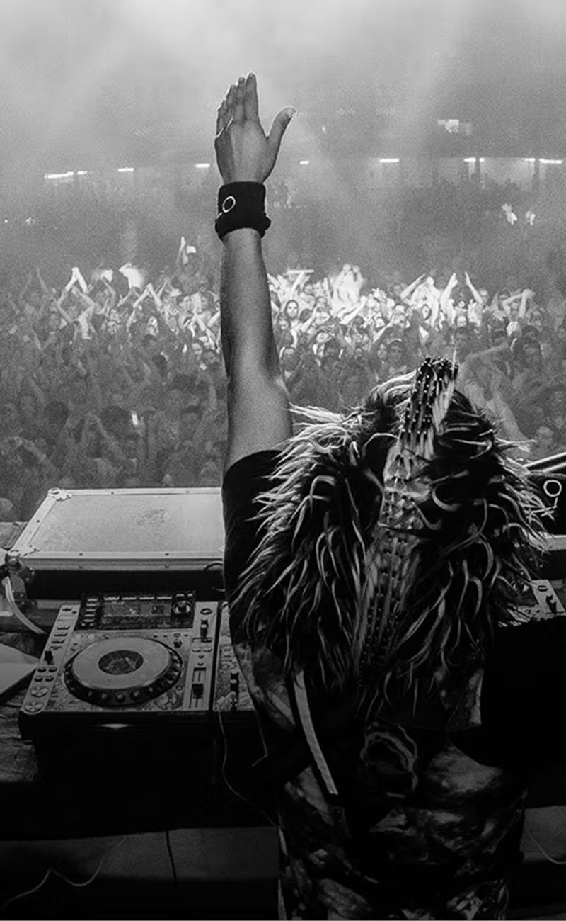 A DJ hypes up a crowd at a concert