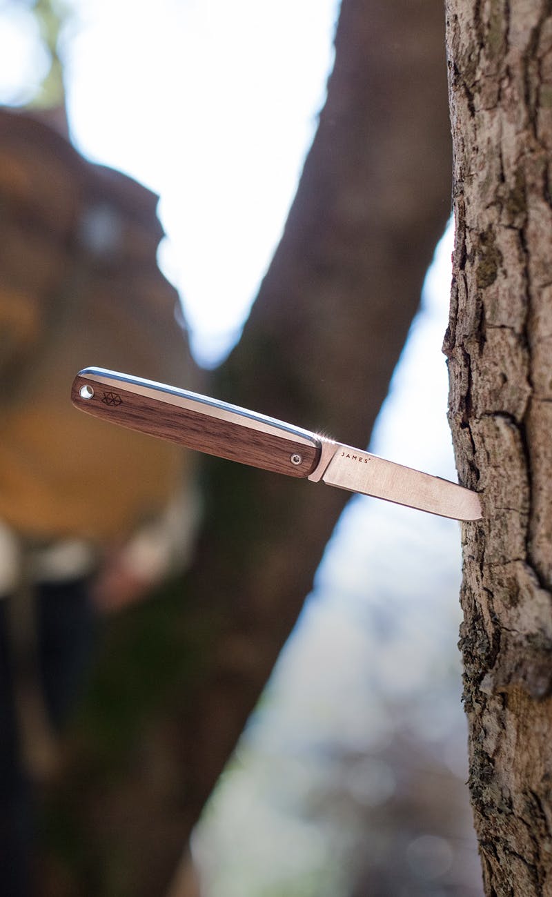 A James Brand knife is seen stuck in a tree with a blurred-out backpacker in the background