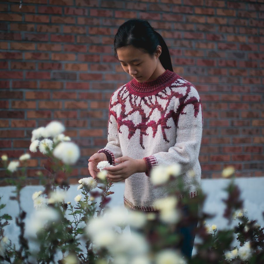 Top-down stranded colourwork sweater Melancholia, designed by Zaneteknits in Olympus Harvest yarn