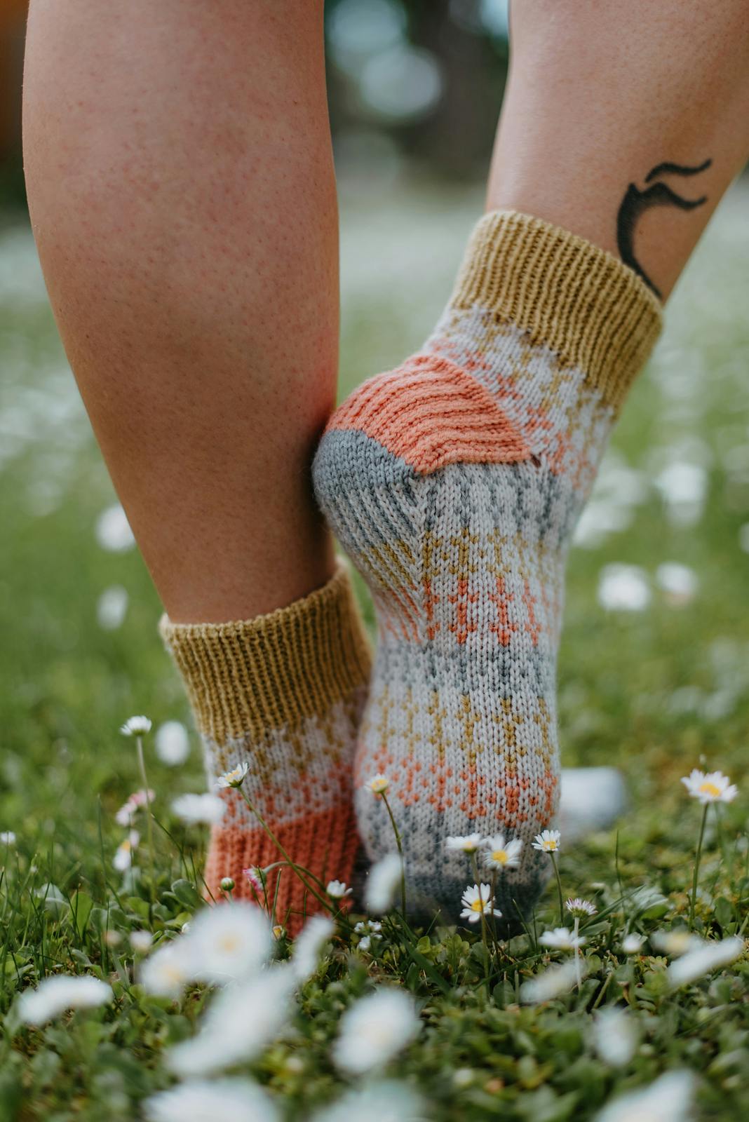 Freshness Socks 1