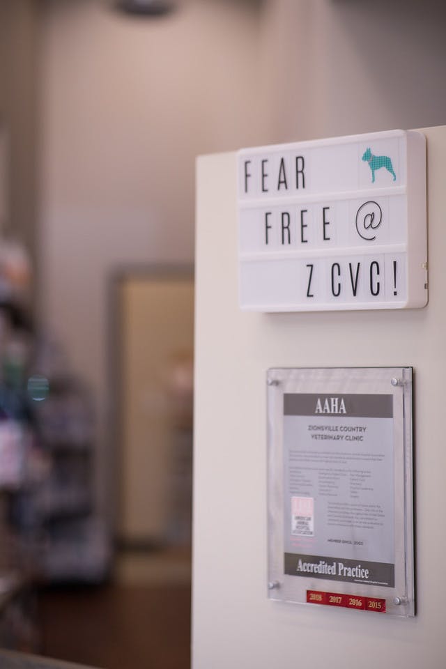A frame saying fear free hanging on a wall