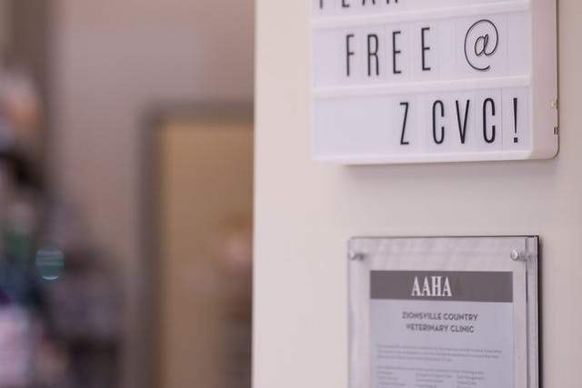 A frame saying fear free hanging on a wall