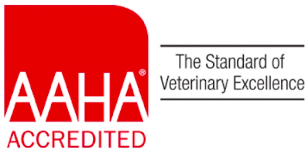 AAHA Certified Logo