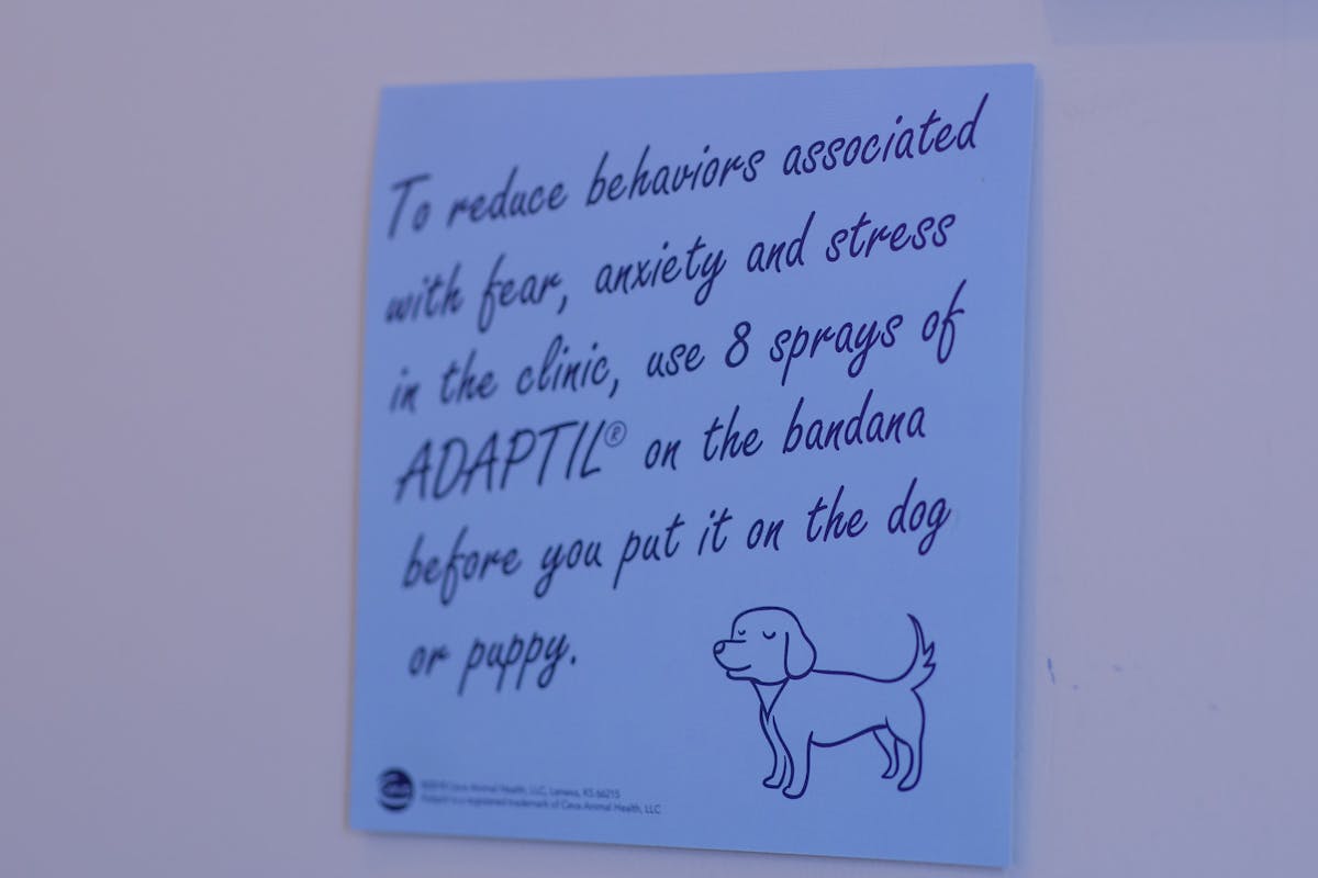 Picture of a paper on a wall