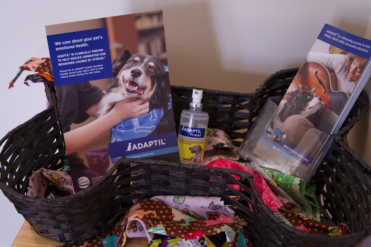 Picture of magazines and office supplies