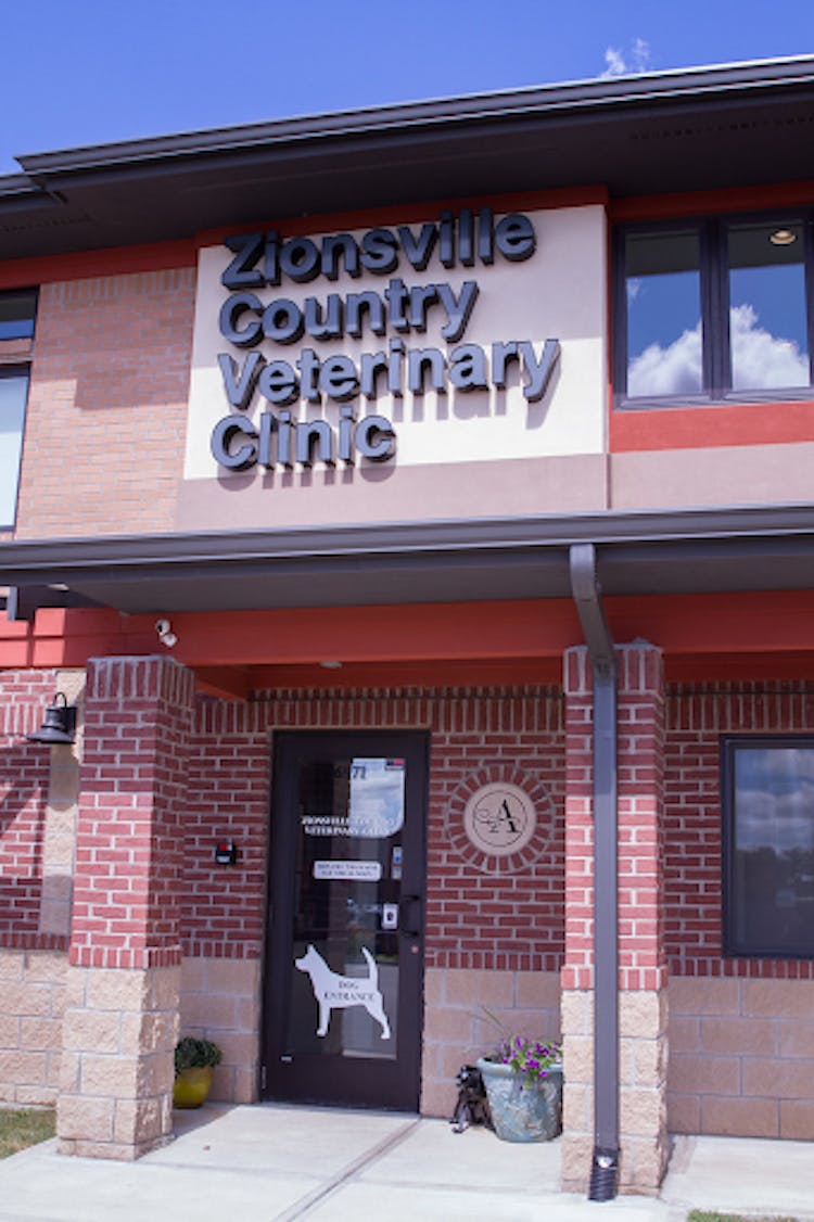 Designated Dog Entrance