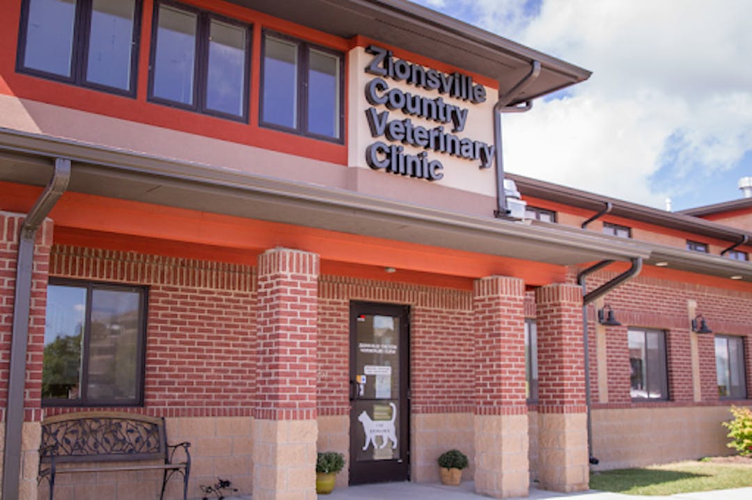 Designated cat entrance