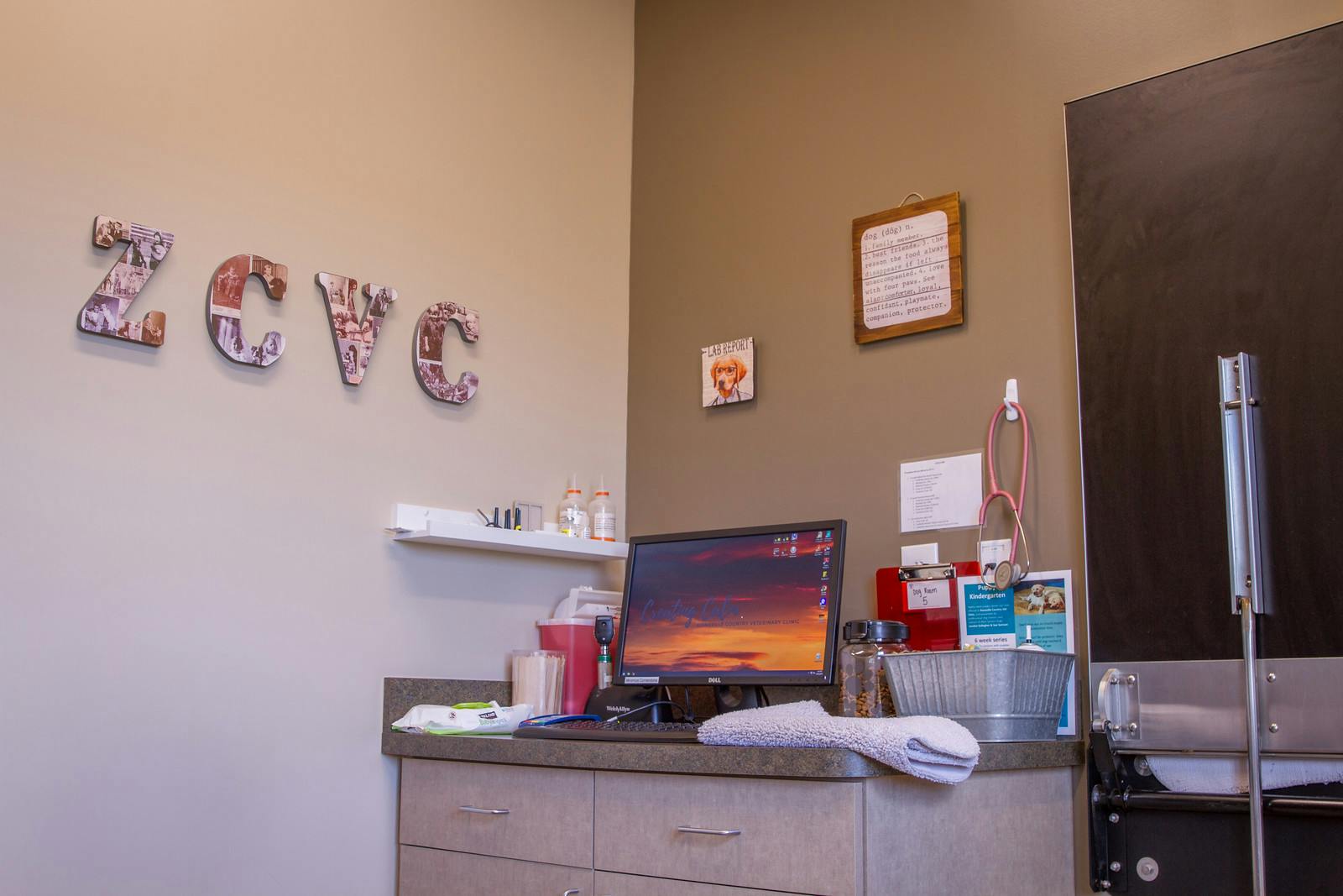 Indoor dog exam rooms