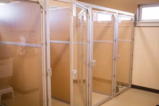 Large dog kennel