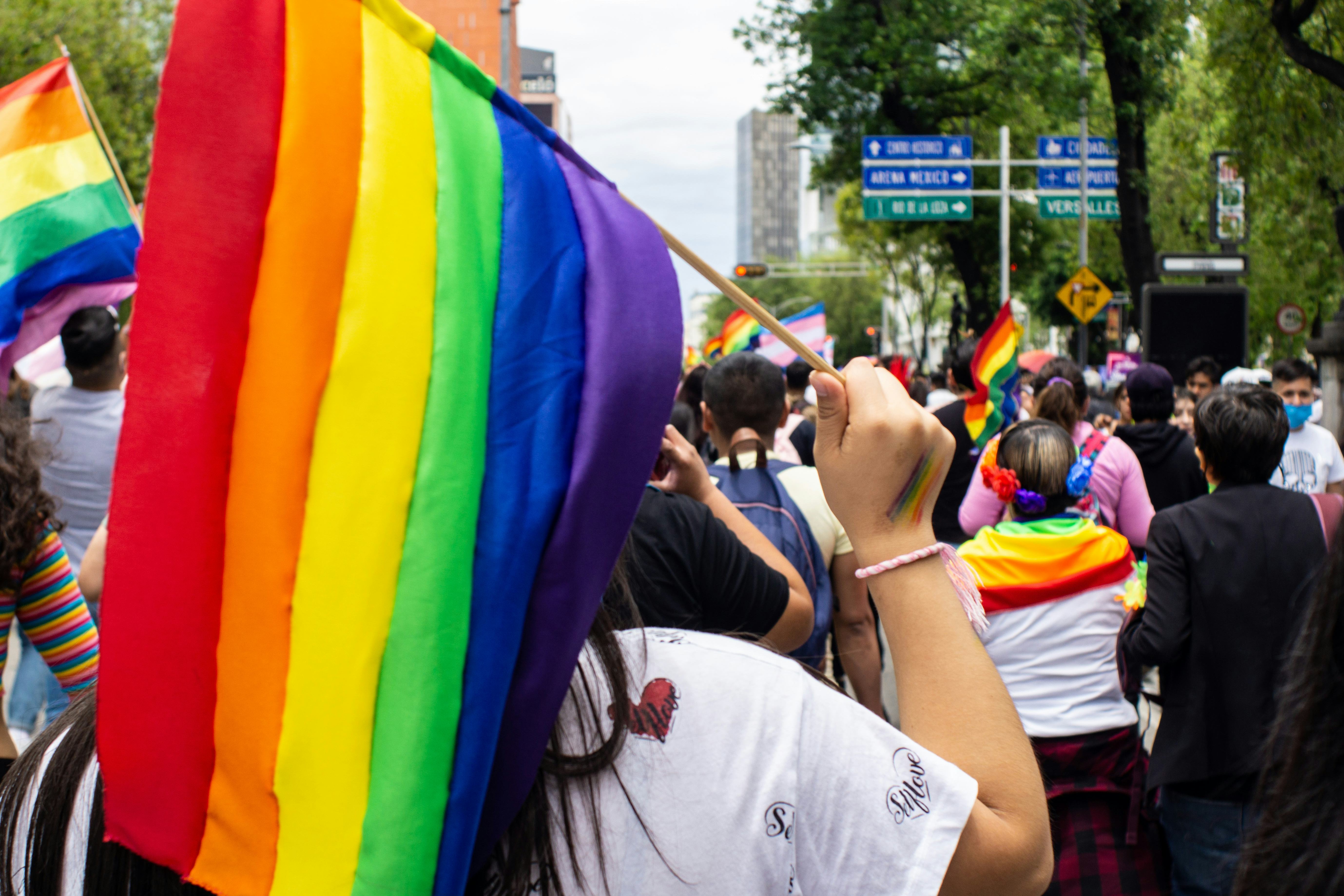 Woman holding a Pride flag while participating in the Mexico City Pride Parade. 