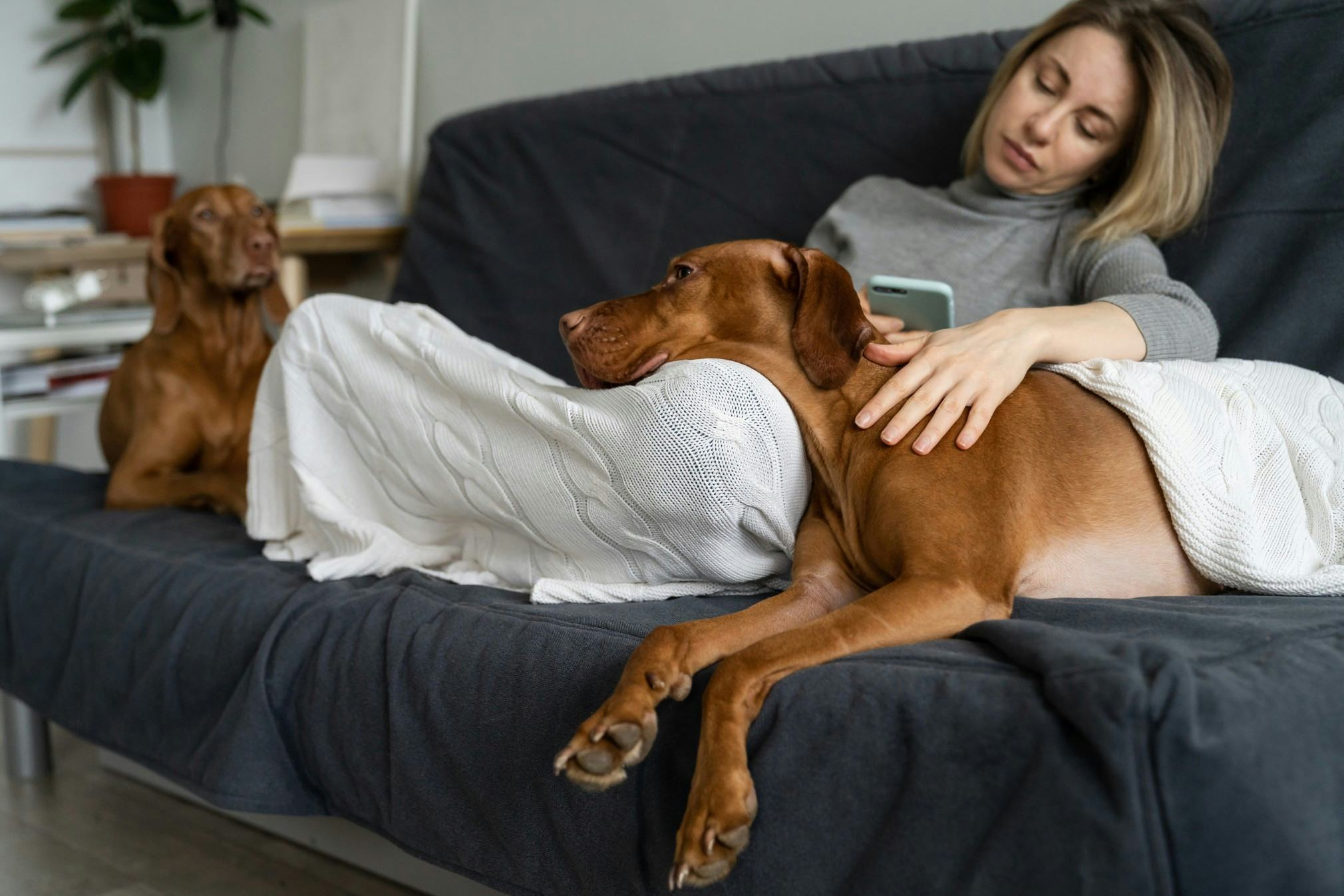 Woman sitting on a couch with a blanket on her legs looking at her phone with two dogs next to her, one laying on her lap.