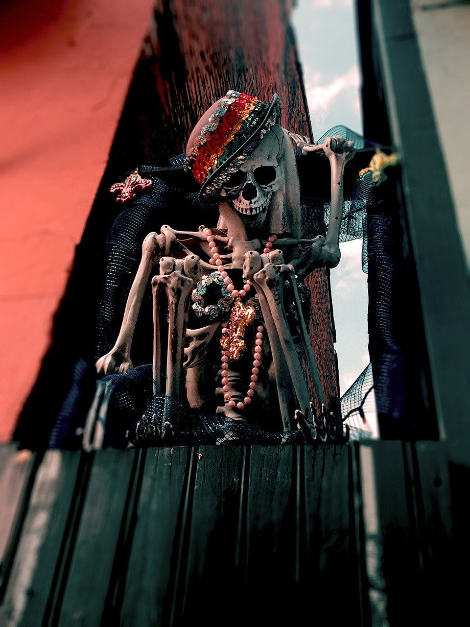 Skeleton in New Orleans for Halloween