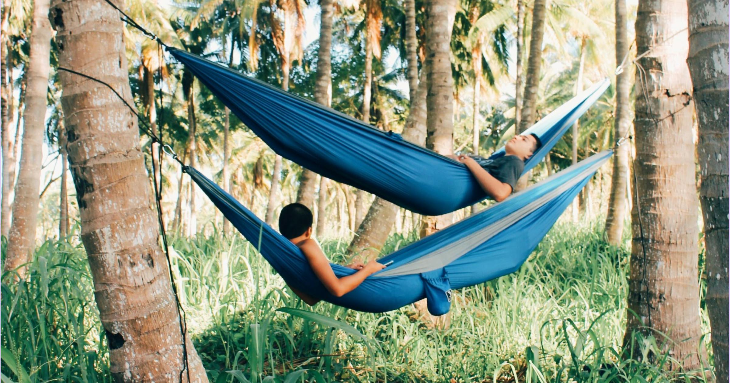 2 men in blue hammocks hanging between trees