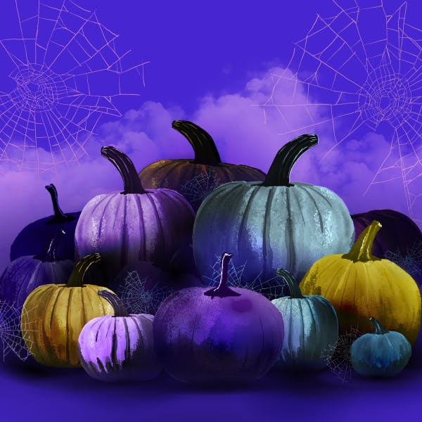 Different colored pumpkins and spiderwebs for Halloween