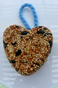 heart-shaped bird treat made of seeds