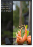 A Roadmap to Reduce U.S. Food Waste by 20%
