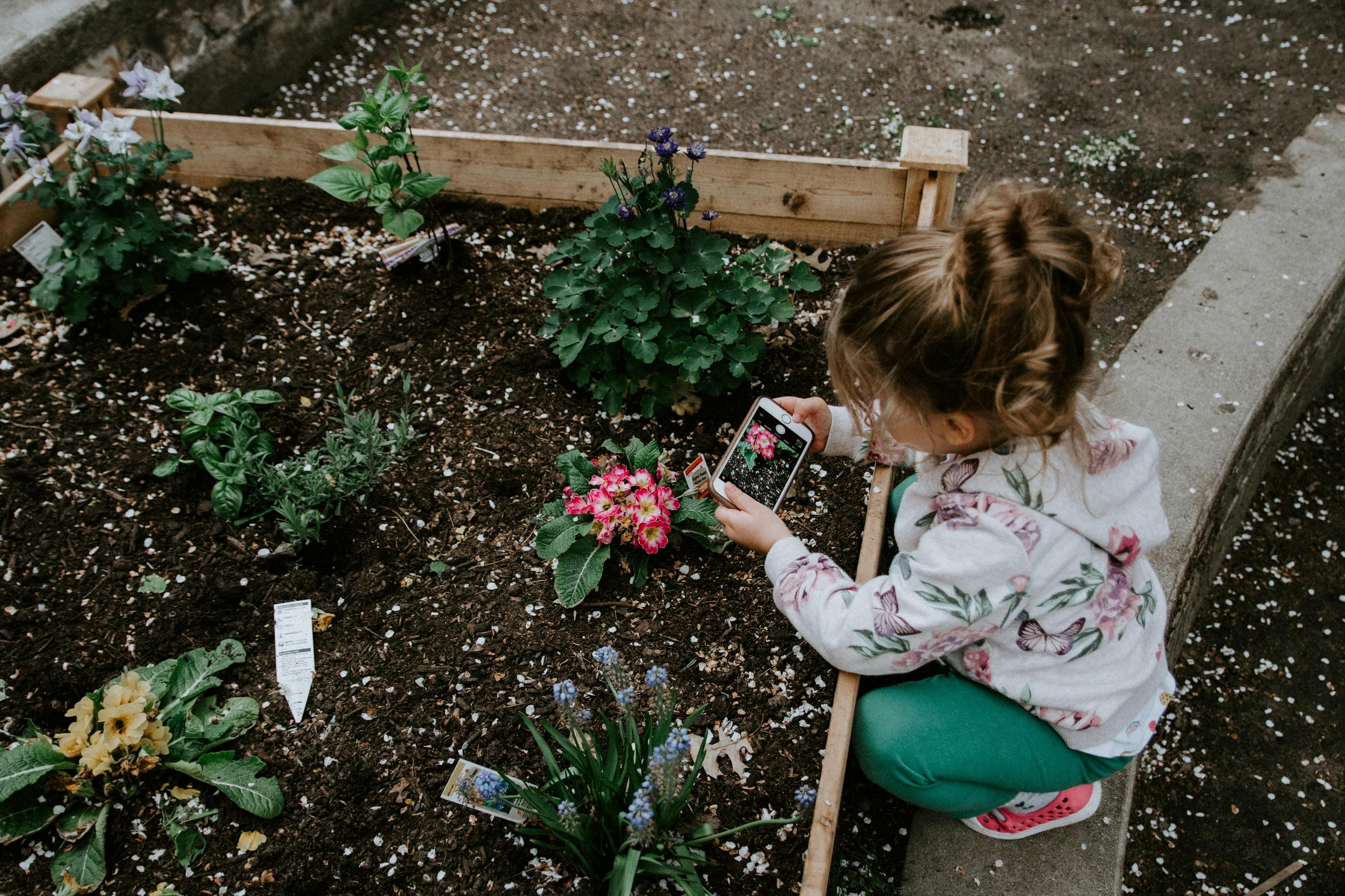 Green Waste & Gardening