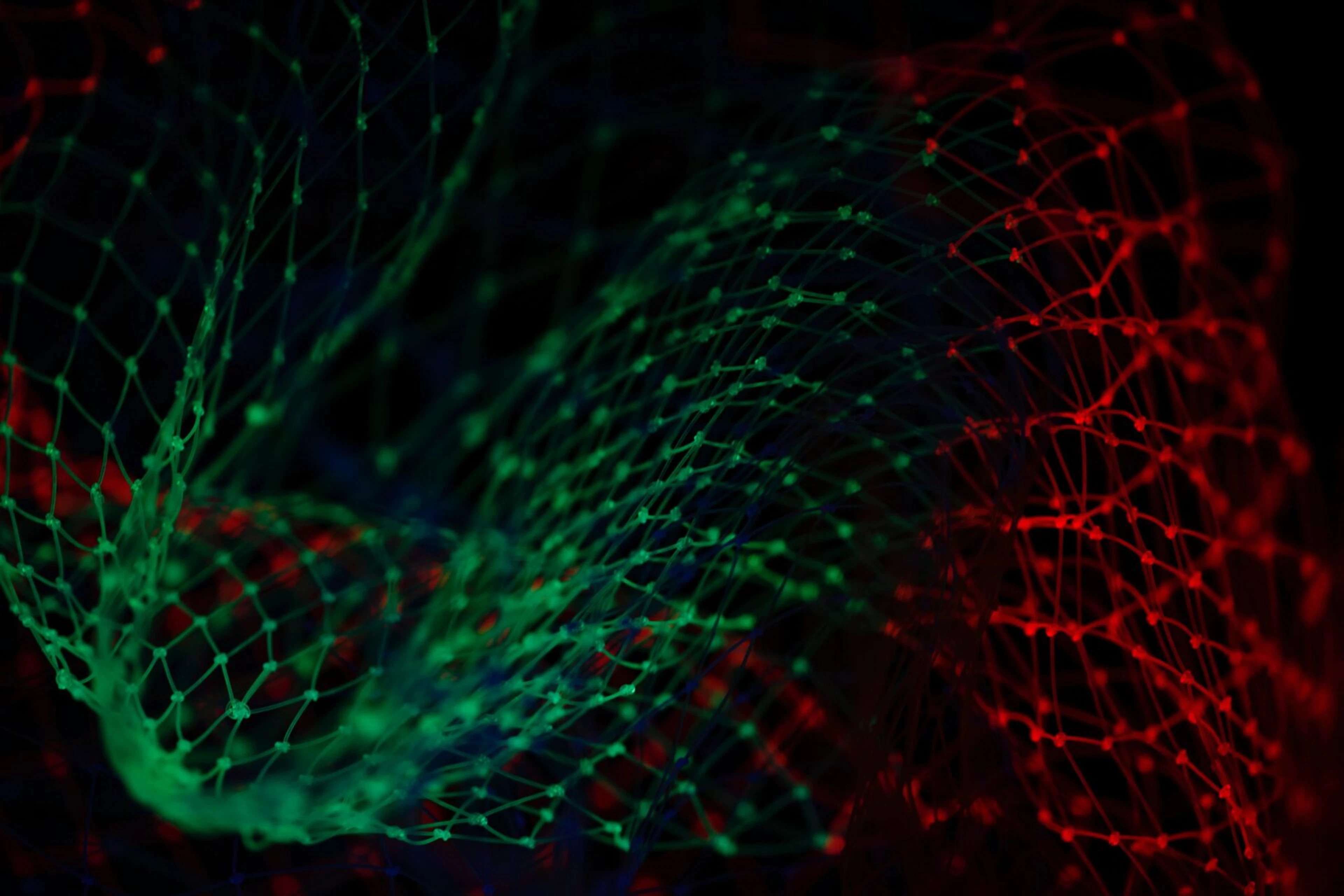 Is Your Customer Data an Asset or a Liability?