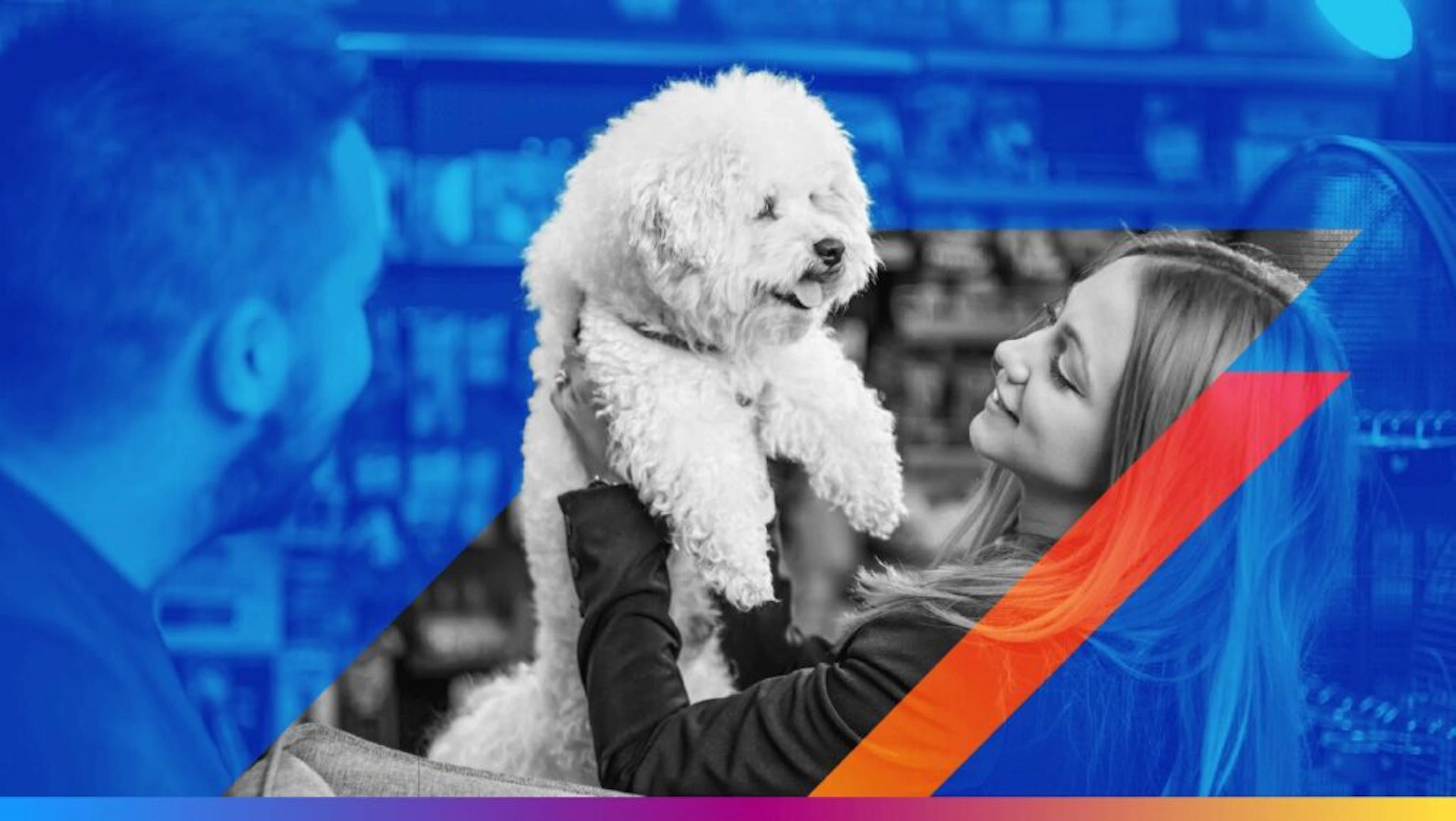 person with a dog - featured image for agentic ai in marketing needs ownership article