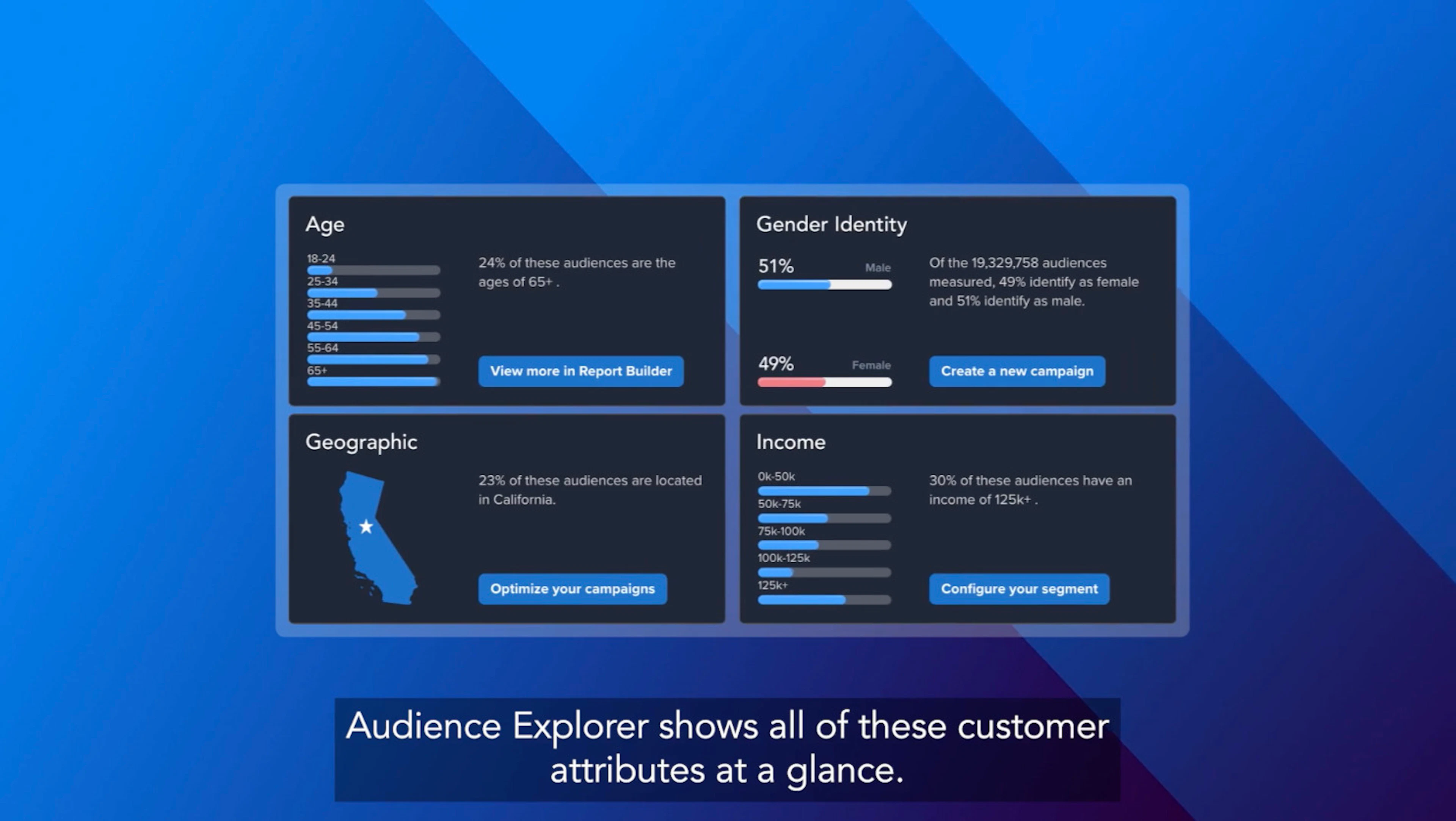 Audience explorer screenshot