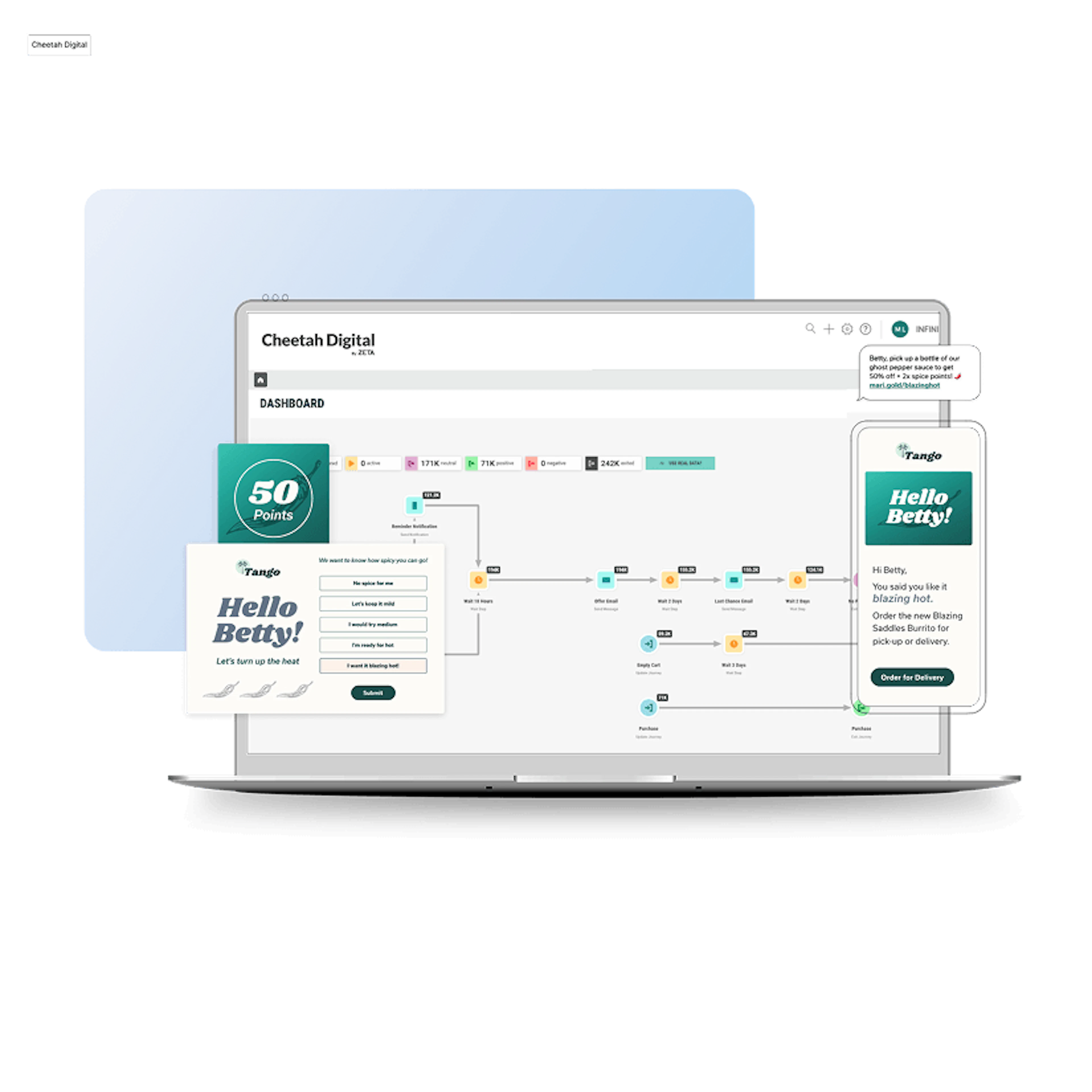cheetah digital landing page image