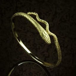 Antique snake bracelet.