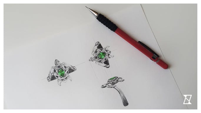 Diseño de anillo de tortuga