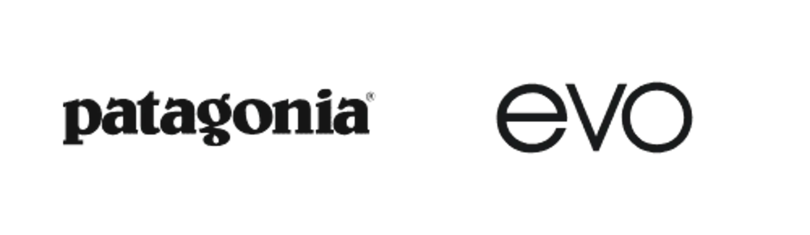 Patagonia and evo logos