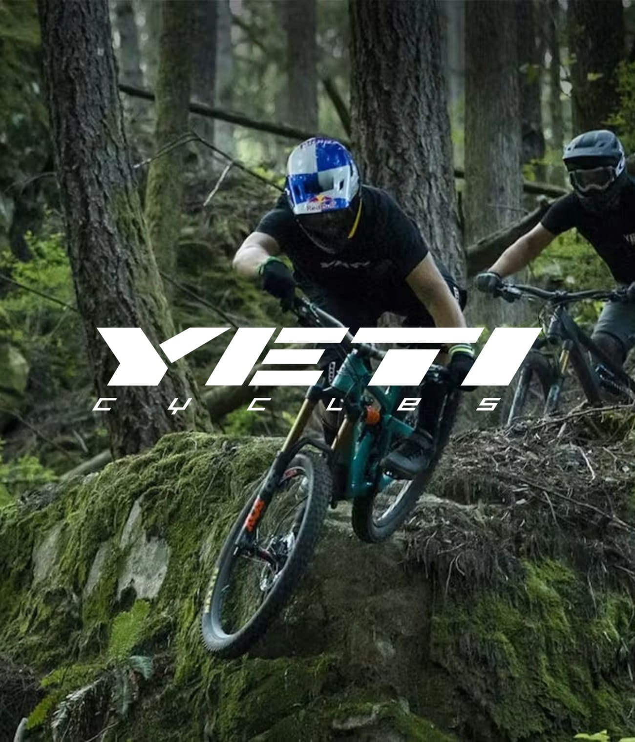 Yeti cycles case