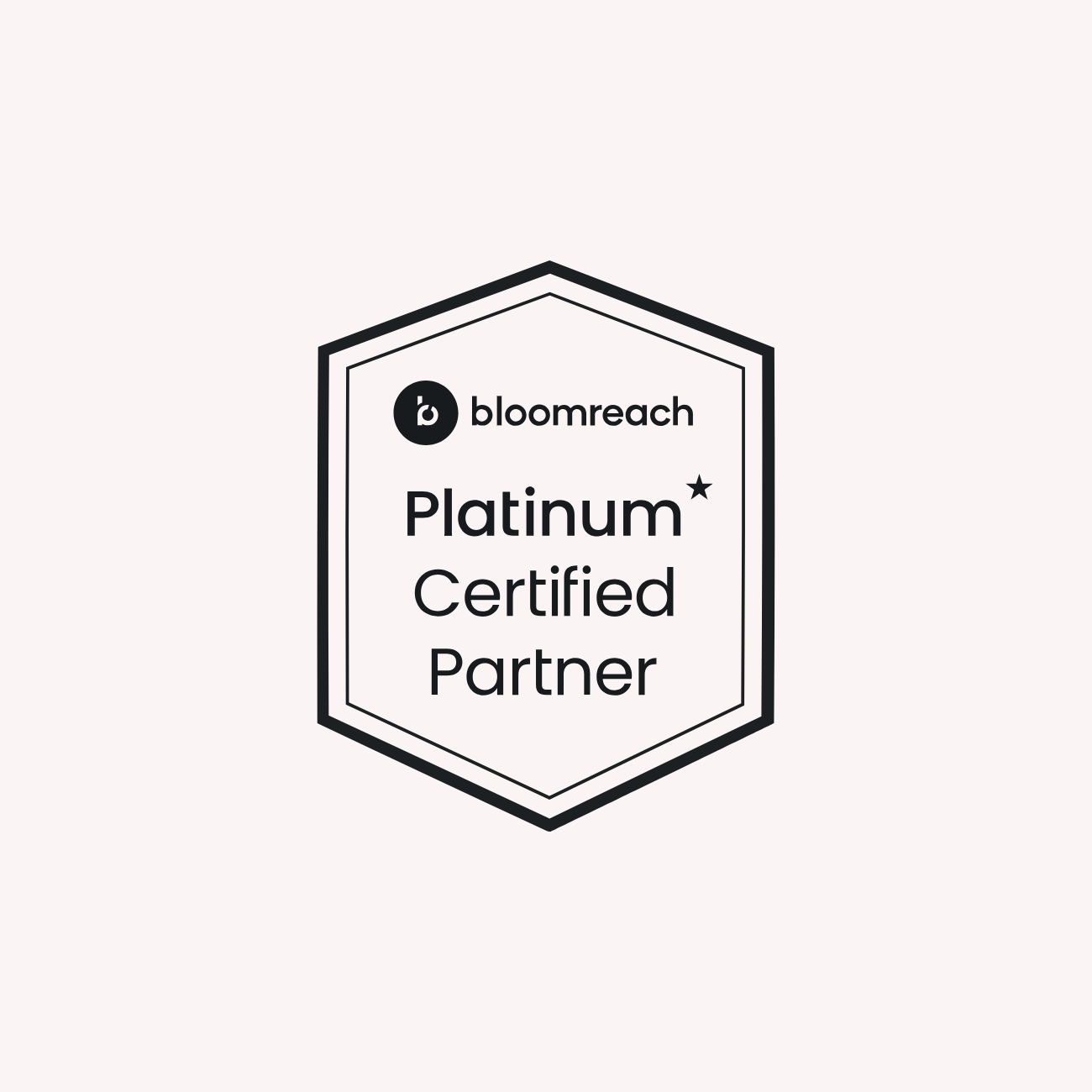 Bloomreach Platinum Partner
