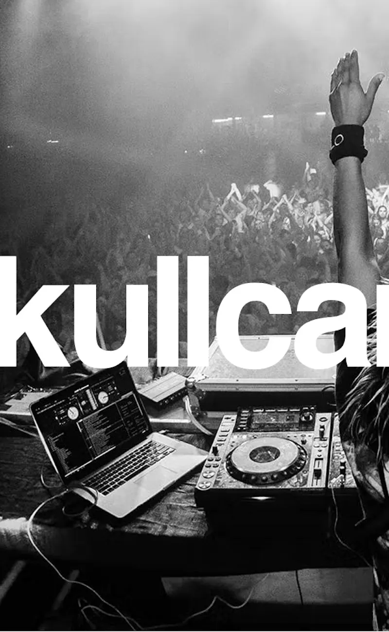 A DJ hypes up a crowd at a concert Skullcandy case