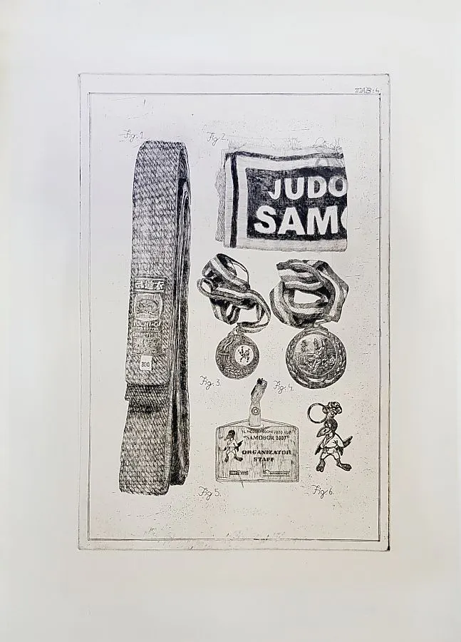 Miran Šabić, Judo