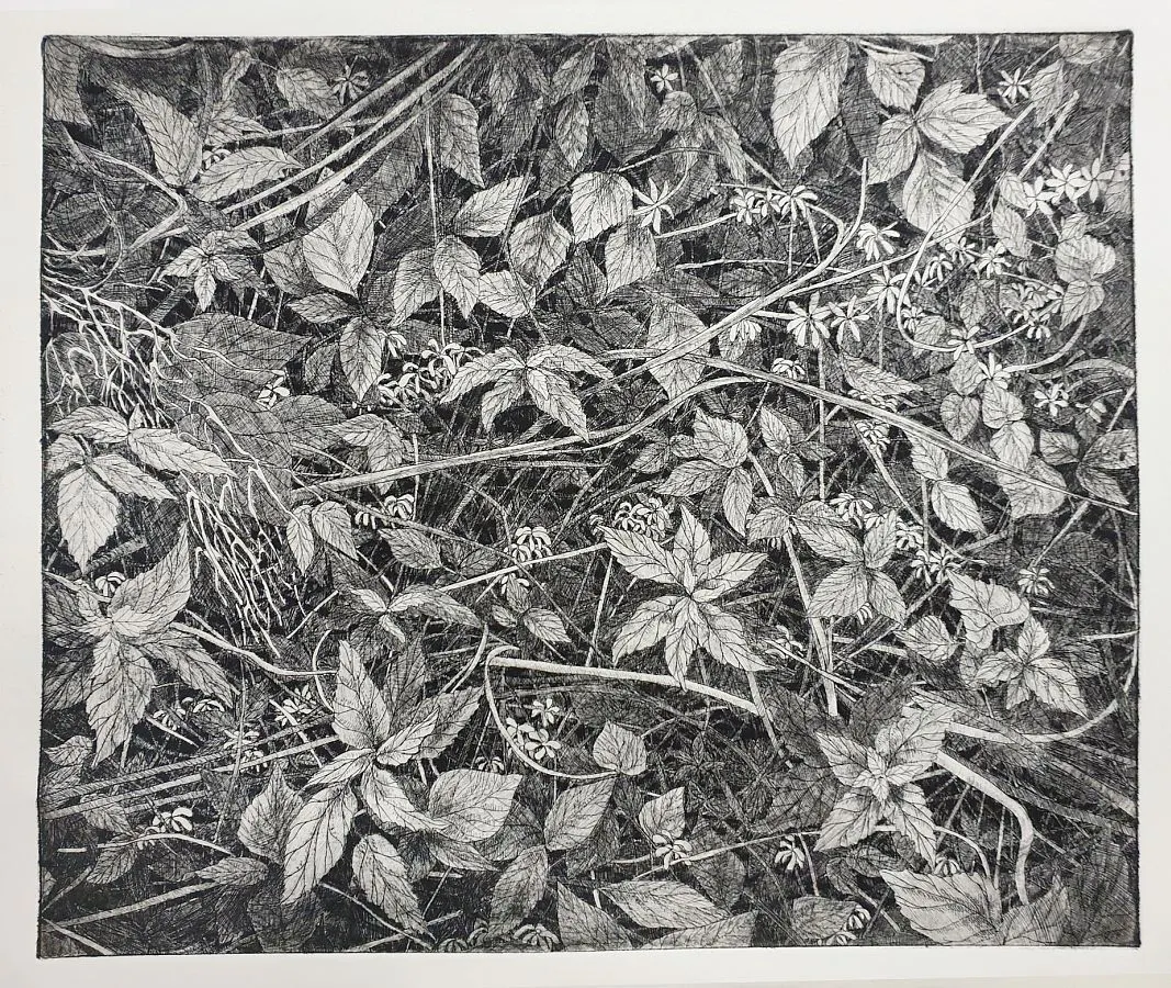 Miran Šabić, Šuma