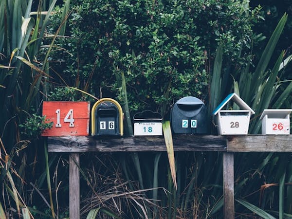 Six letterboxes on a wooden fence, backed by a selection of flax and green shrubbery. Taken in Muriwai, New Zealand