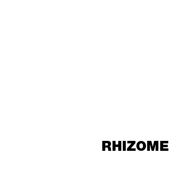 RHIZOME