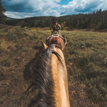 Woman Thrown from Horse