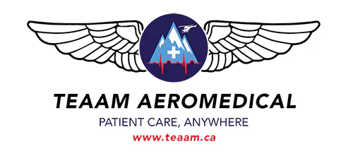TEAAM logo